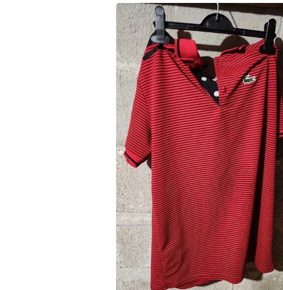 Annonce Vinted d'un Lacoste rouge en photo brute